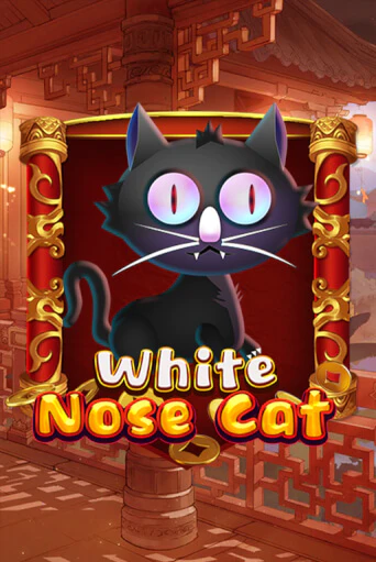 Бесплатная демо игра White Nose Cat | Джой Казино без регистрации